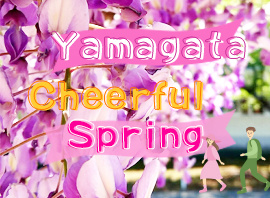 cheerful spring2024