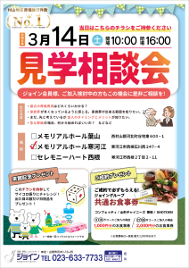 0c99226f053515248c432ba96cf7781a