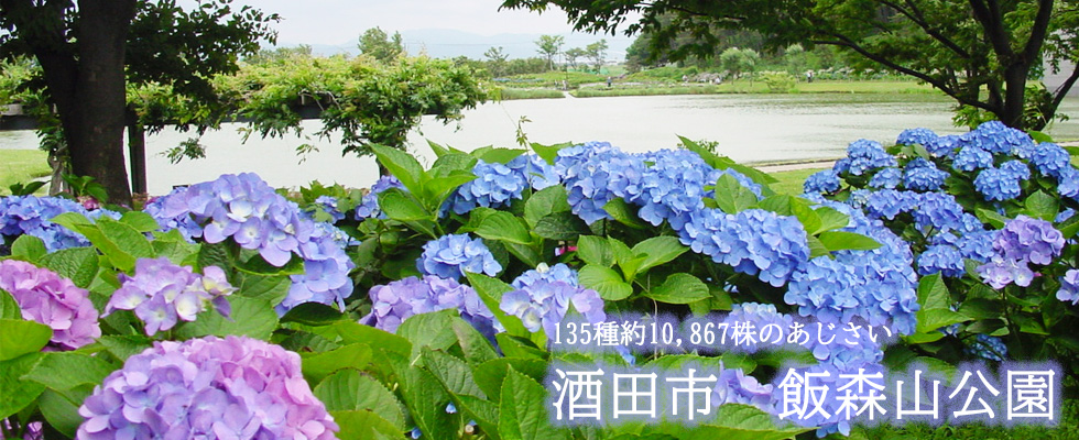 酒田市飯森山公園