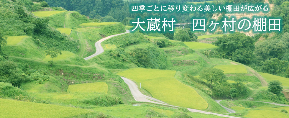 大蔵村四ヶ村の棚田