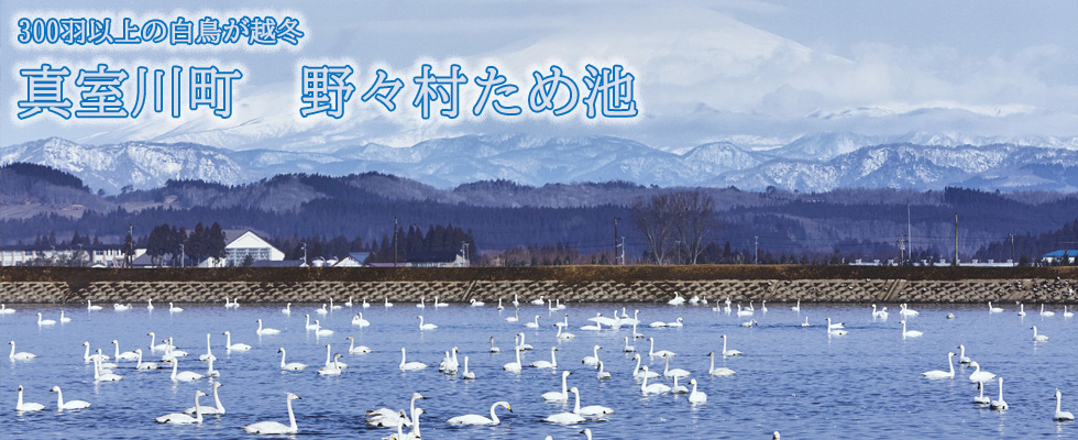 野々村ため池（真室川町）