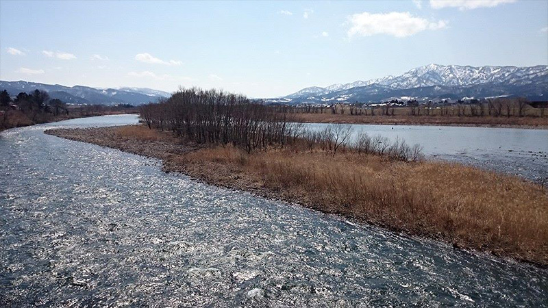 朝日地区　赤川　2016年3月