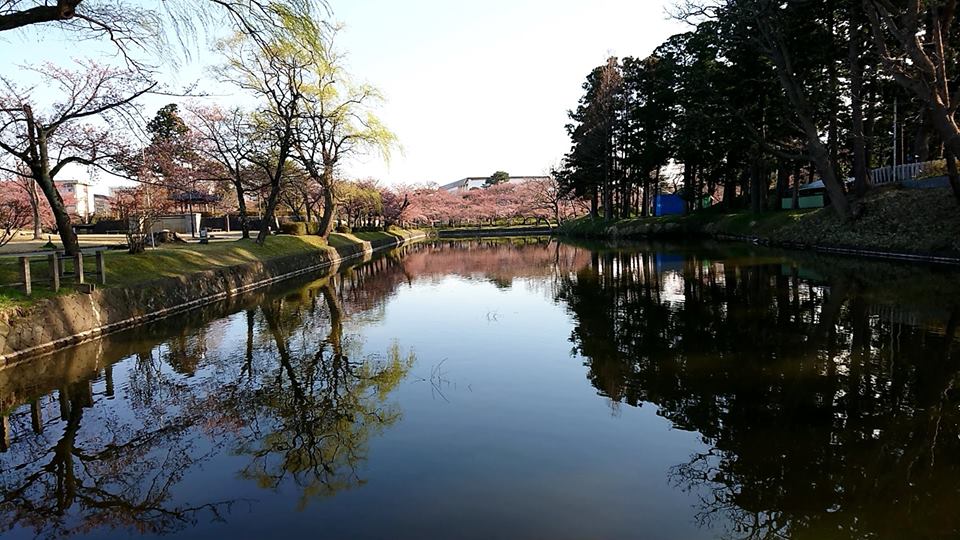 鶴岡市　鶴岡公園　お堀