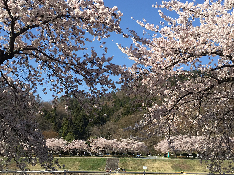 馬見ケ崎