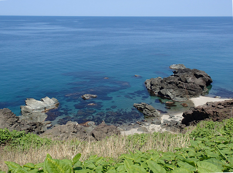 初夏の温海海岸