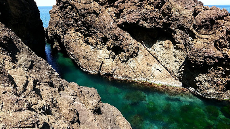 初夏の由良　白山島