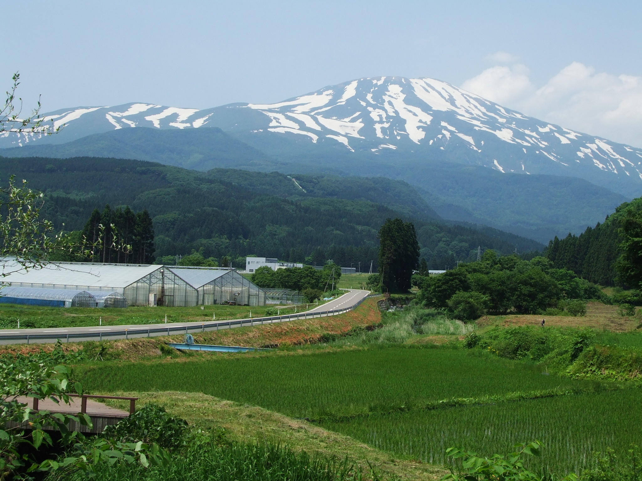 鳥海山　初夏