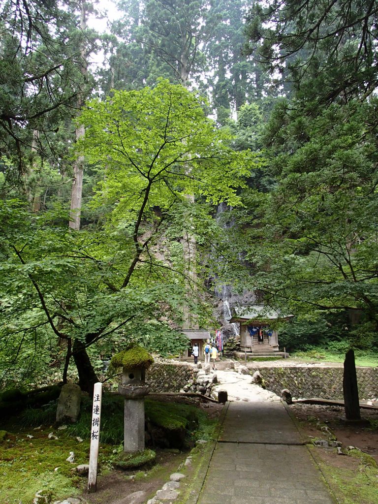 羽黒山　初夏