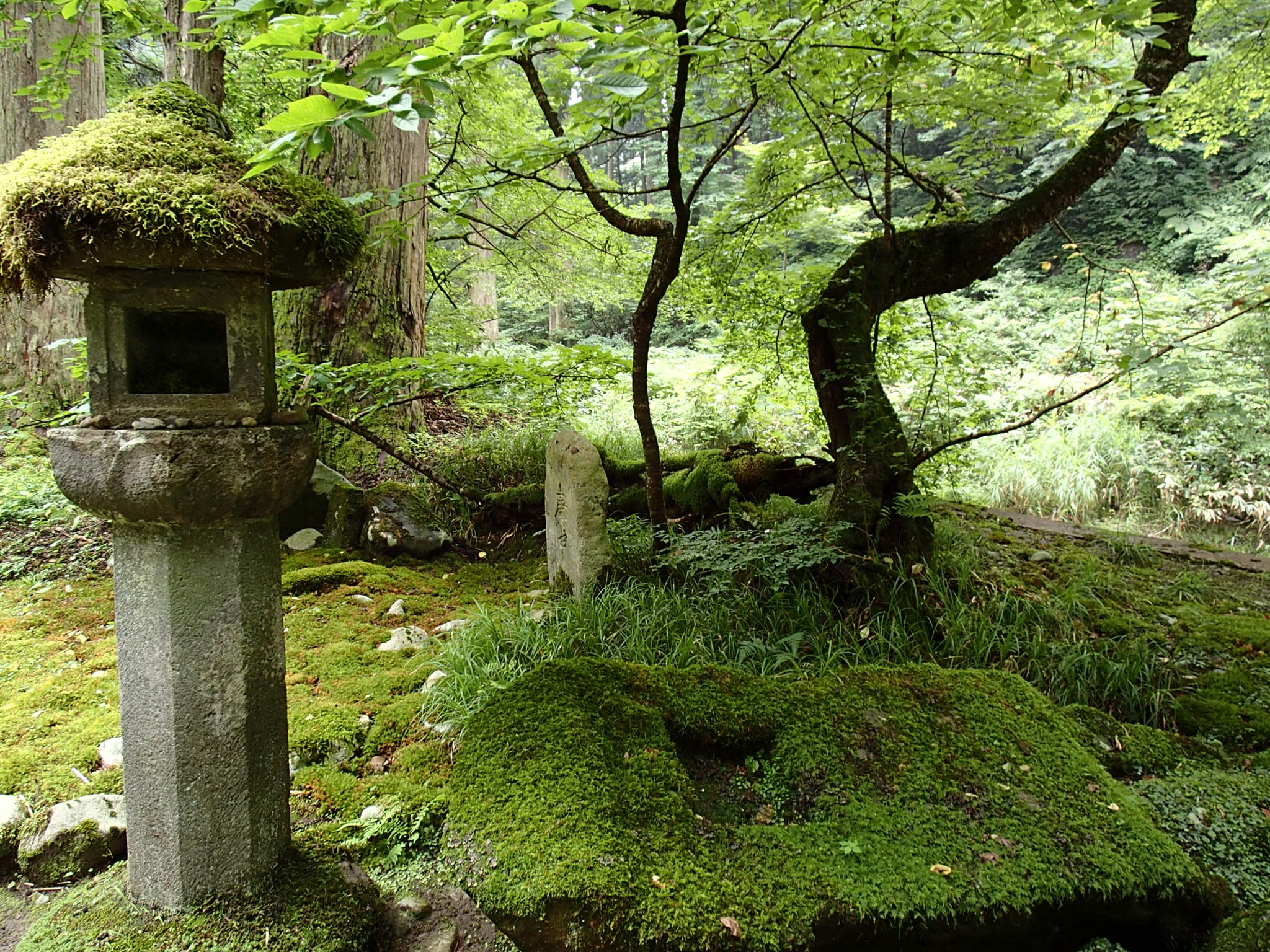 羽黒山　初夏