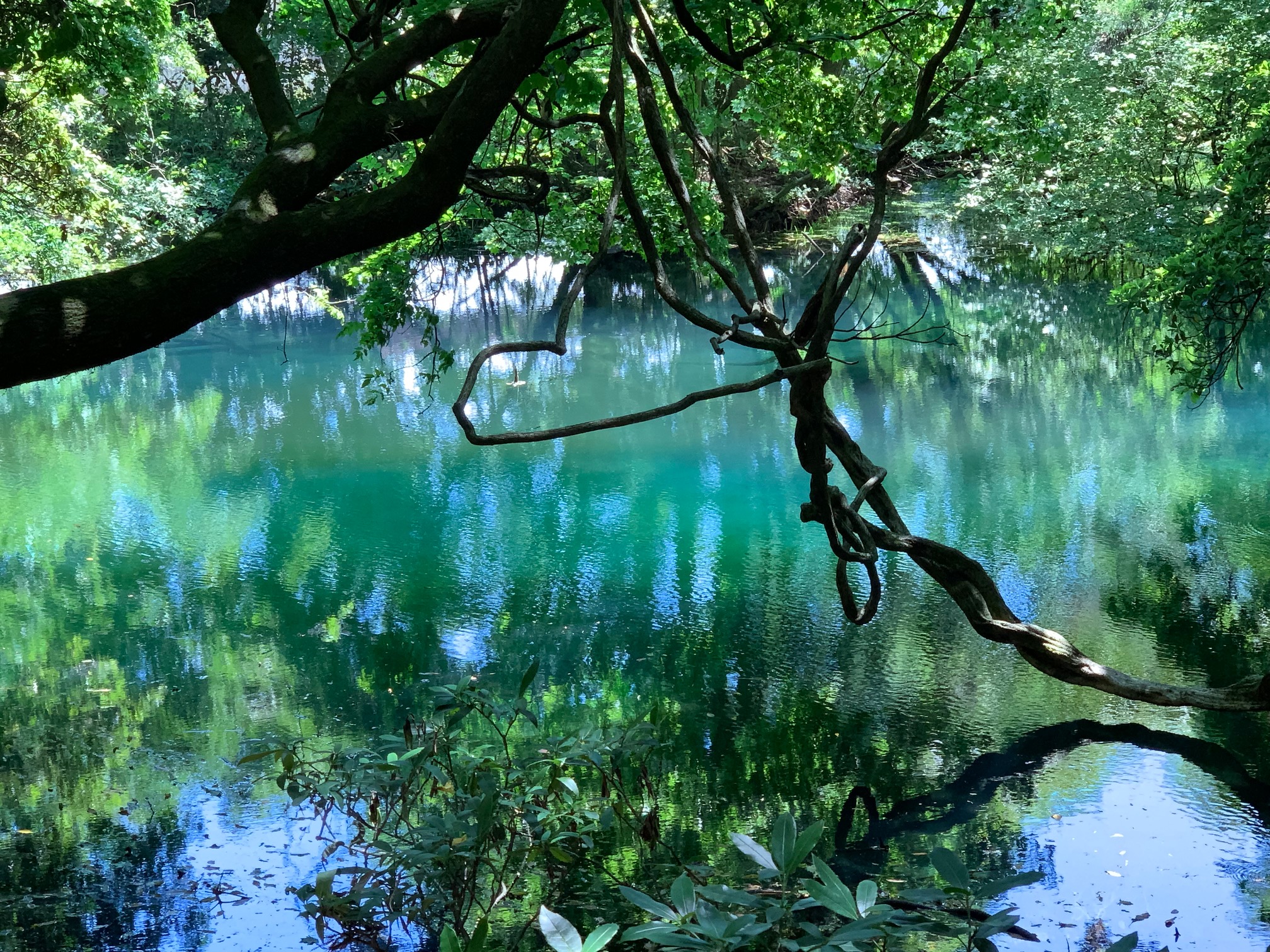 丸池様　遊佐町