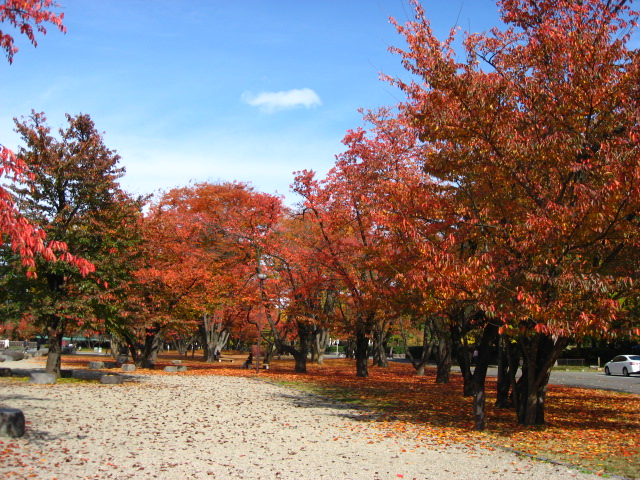 山形市 霞城公園