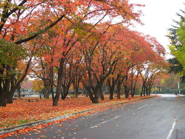 山形市 霞城公園