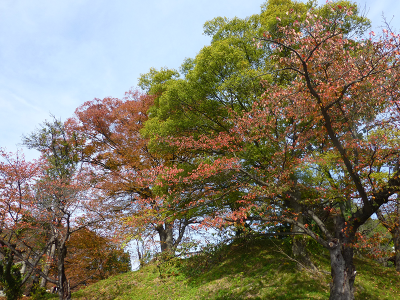 上山城