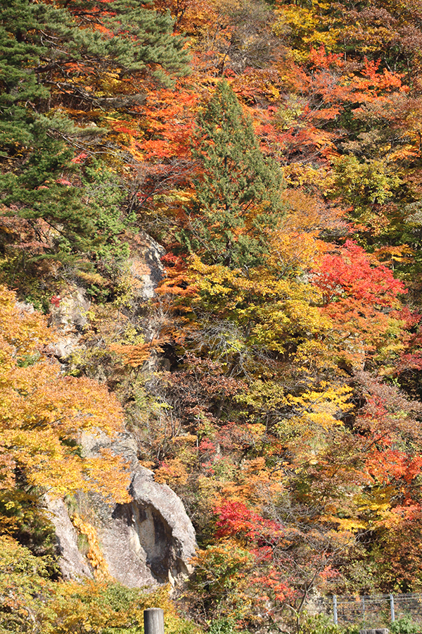 山形市　面白山