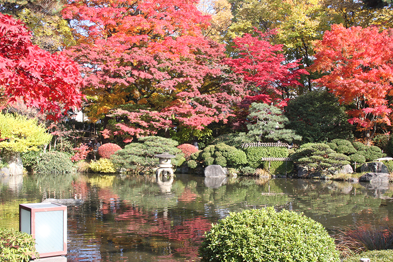 山形市もみじ公園