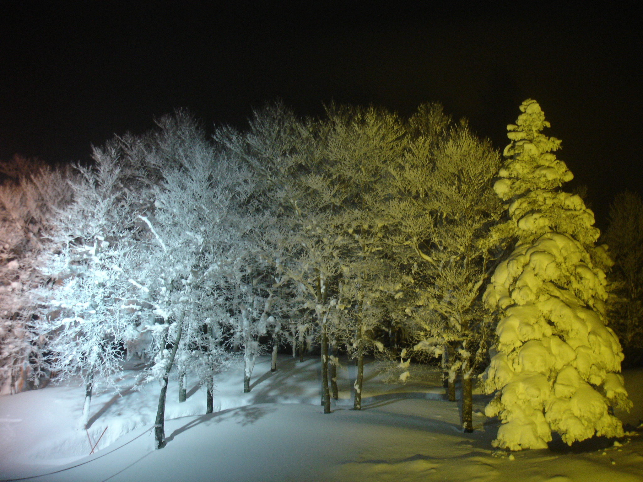 2006年1月　蔵王樹氷