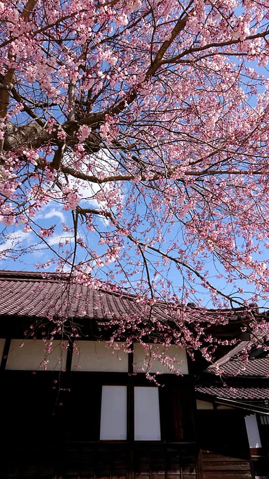 鶴岡市到道博物館