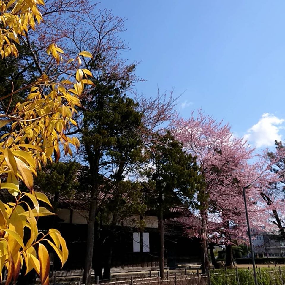 鶴岡市　到道博物館