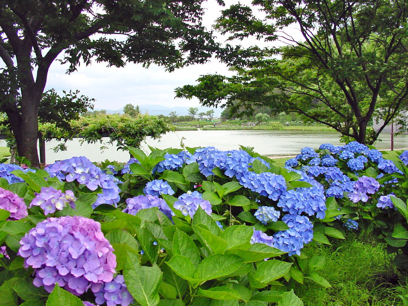 酒田市　飯盛山公園