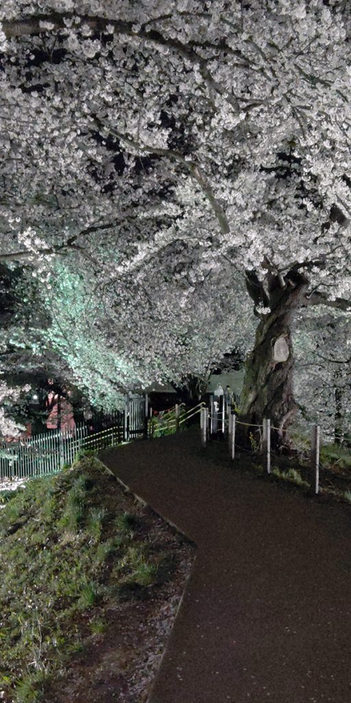 山形市　霞城公園