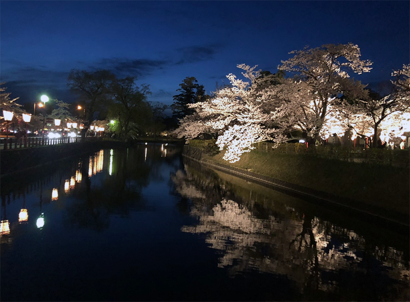 鶴岡市　鶴岡公園　夜桜