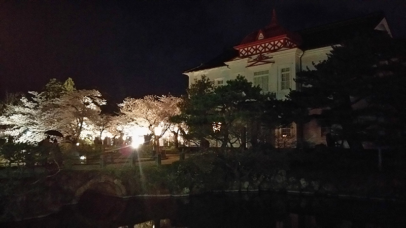 鶴岡公園　夜桜