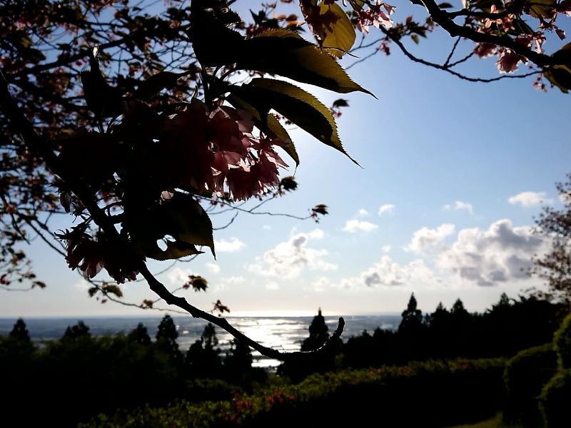 酒田市　眺海の森