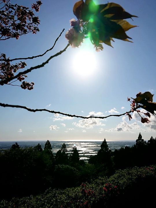 酒田市　眺海の森