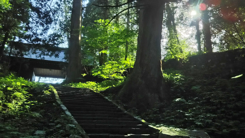 鶴岡市　羽黒山