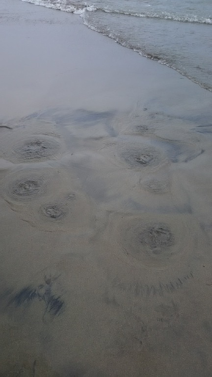 釜磯海水浴場　遊佐町