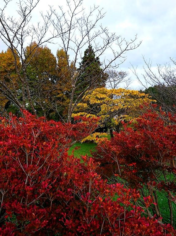 鶴岡市 湯田川