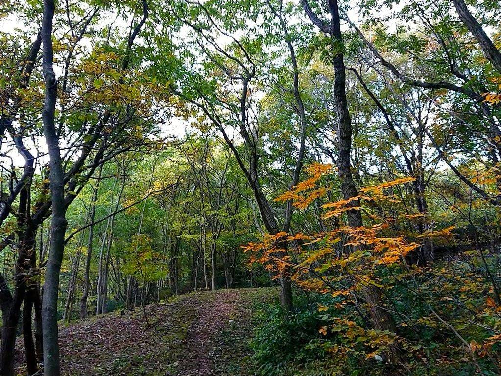 鶴岡市　湯田川