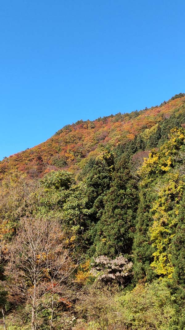 東根市　関山大瀧