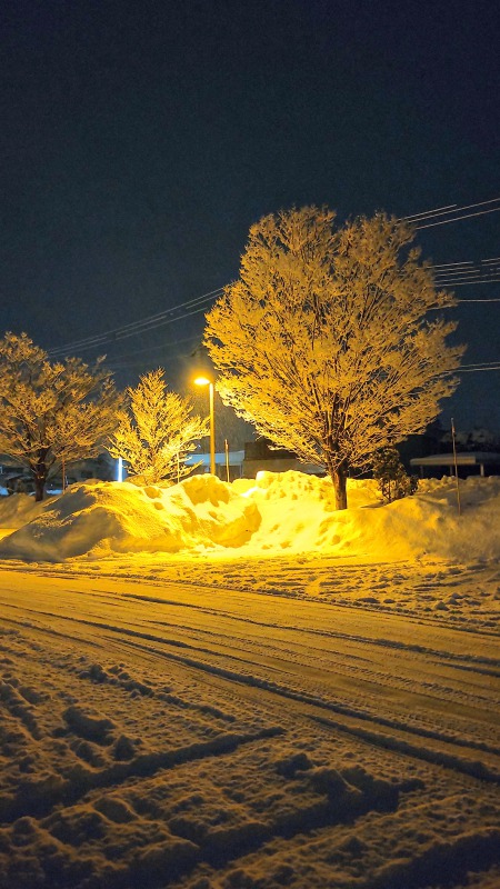 鶴岡　雪景色