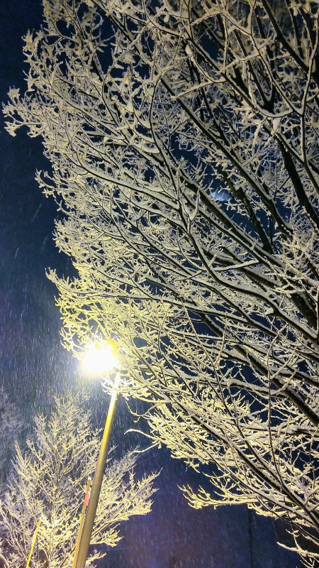 鶴岡　雪景色