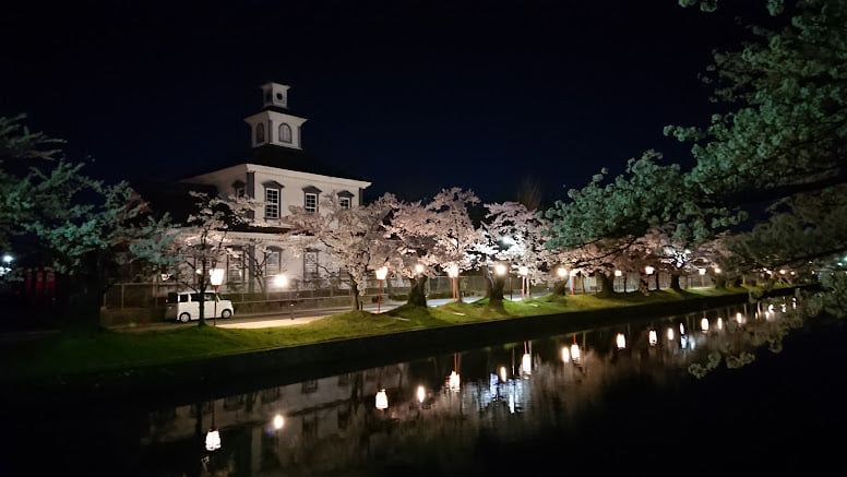 夜桜　鶴岡公園