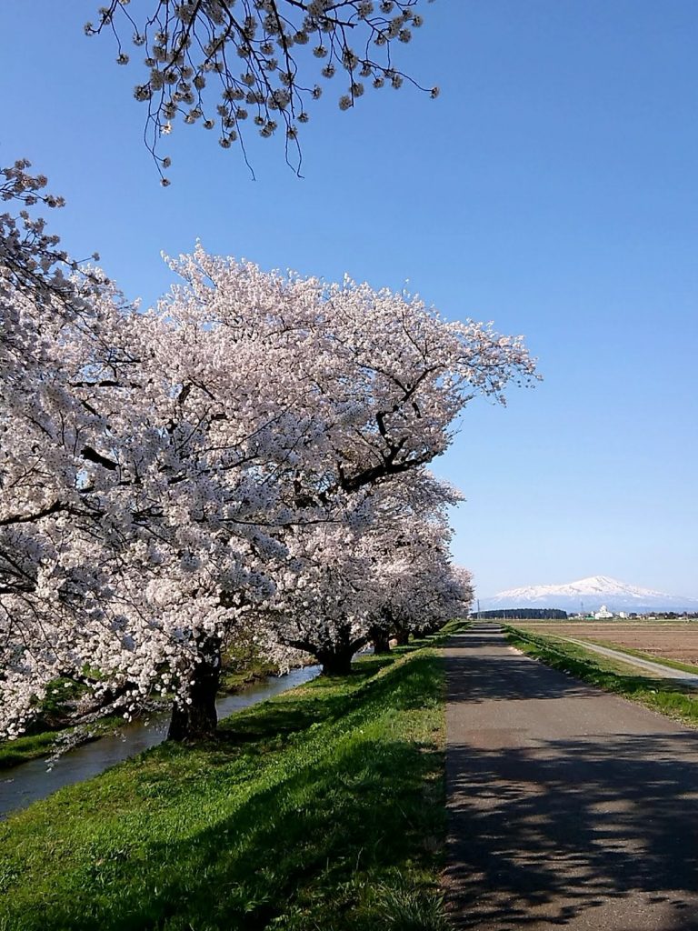 鶴岡市　馬渡地区