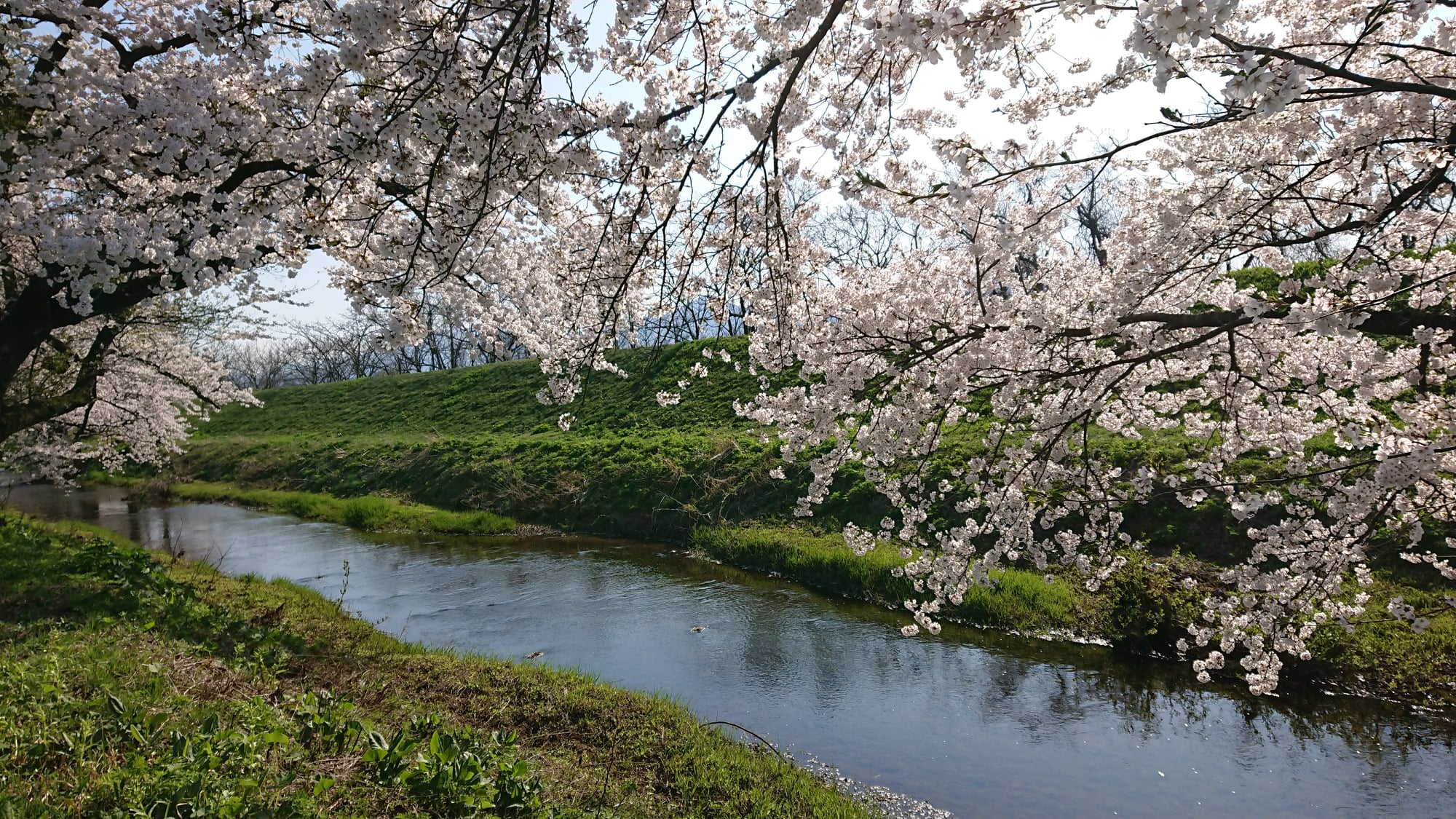 鶴岡市　馬渡地区