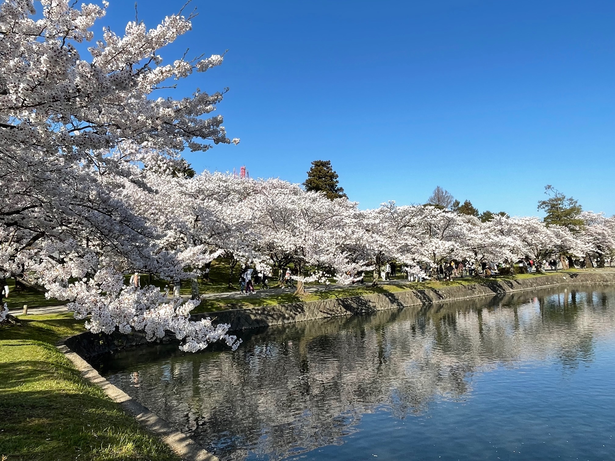 鶴岡公園