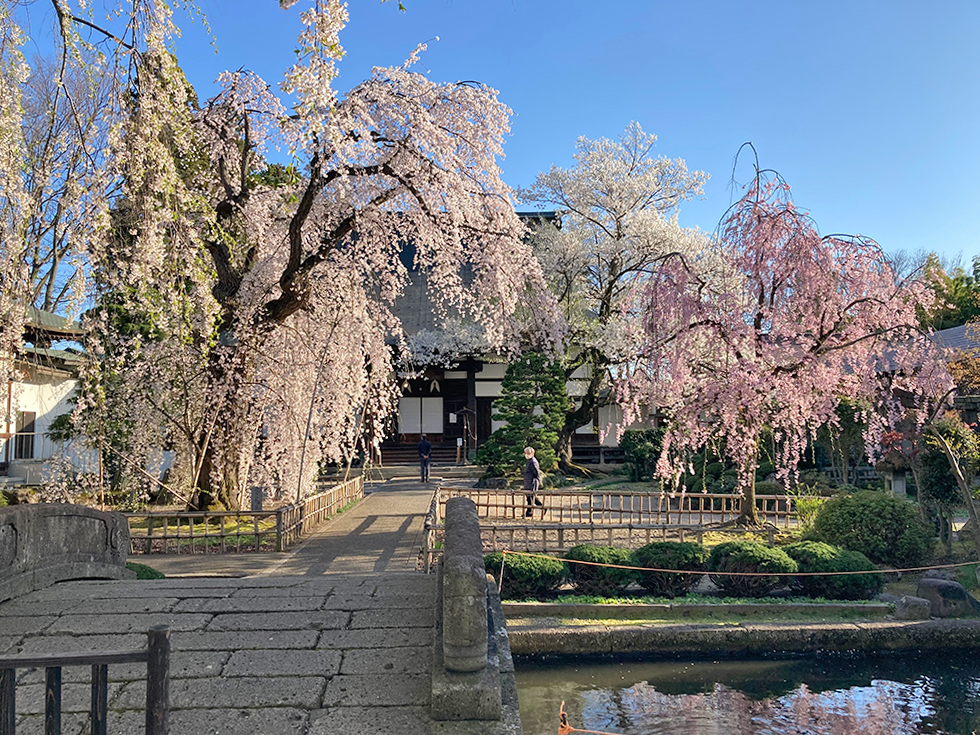 光禅寺　山形市