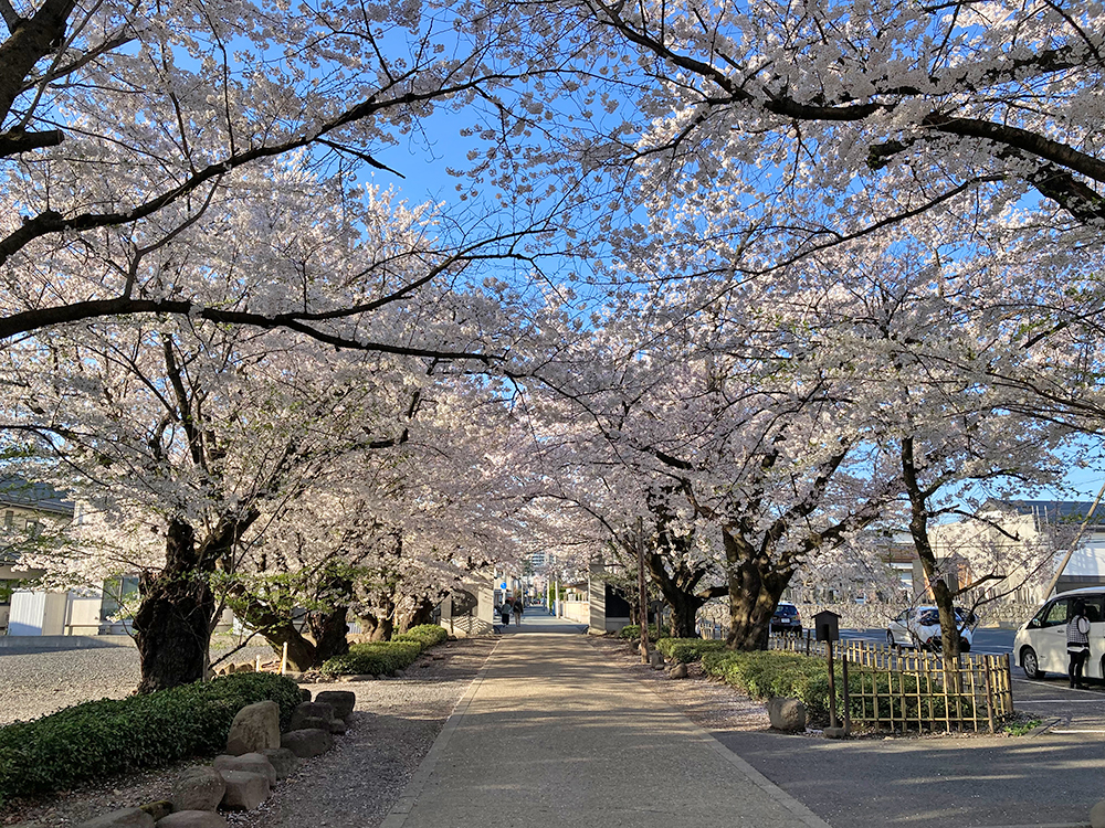 光禅寺　山形市