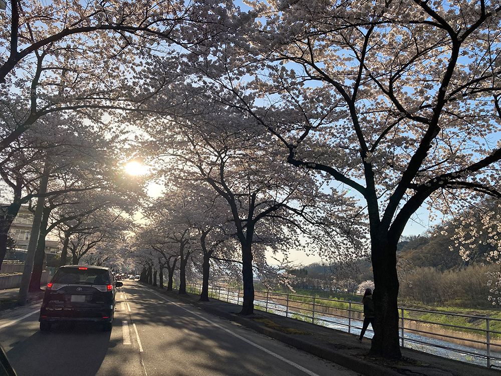 馬見ヶ崎川ぞい