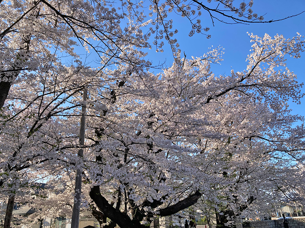 光禅寺　山形市