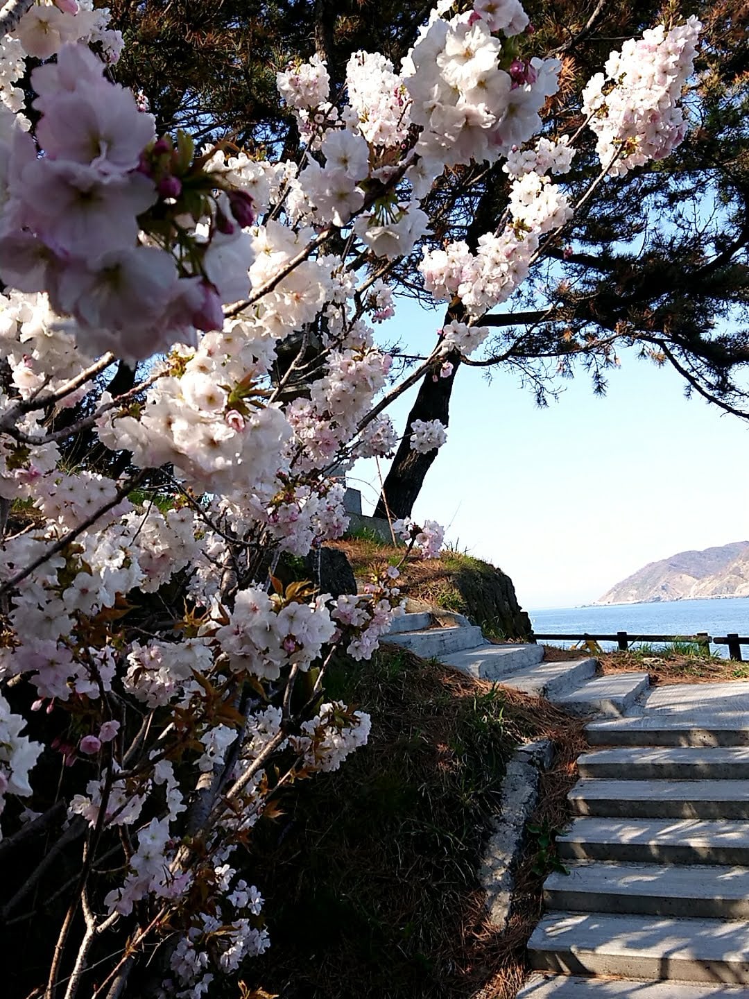 鶴岡市　由良