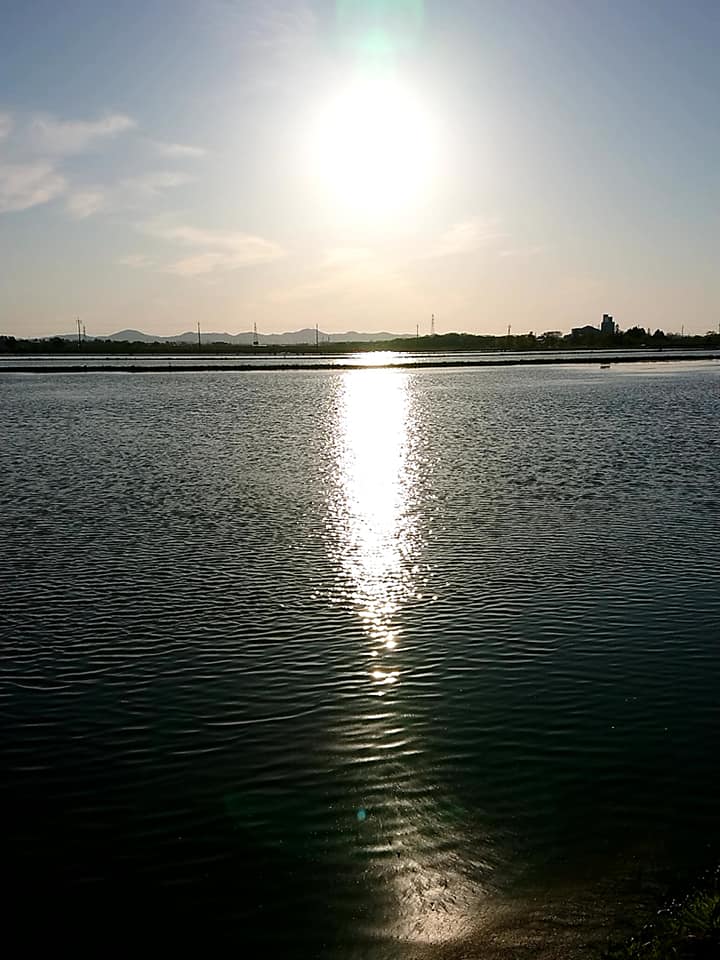 水を入れ始めた春の水田