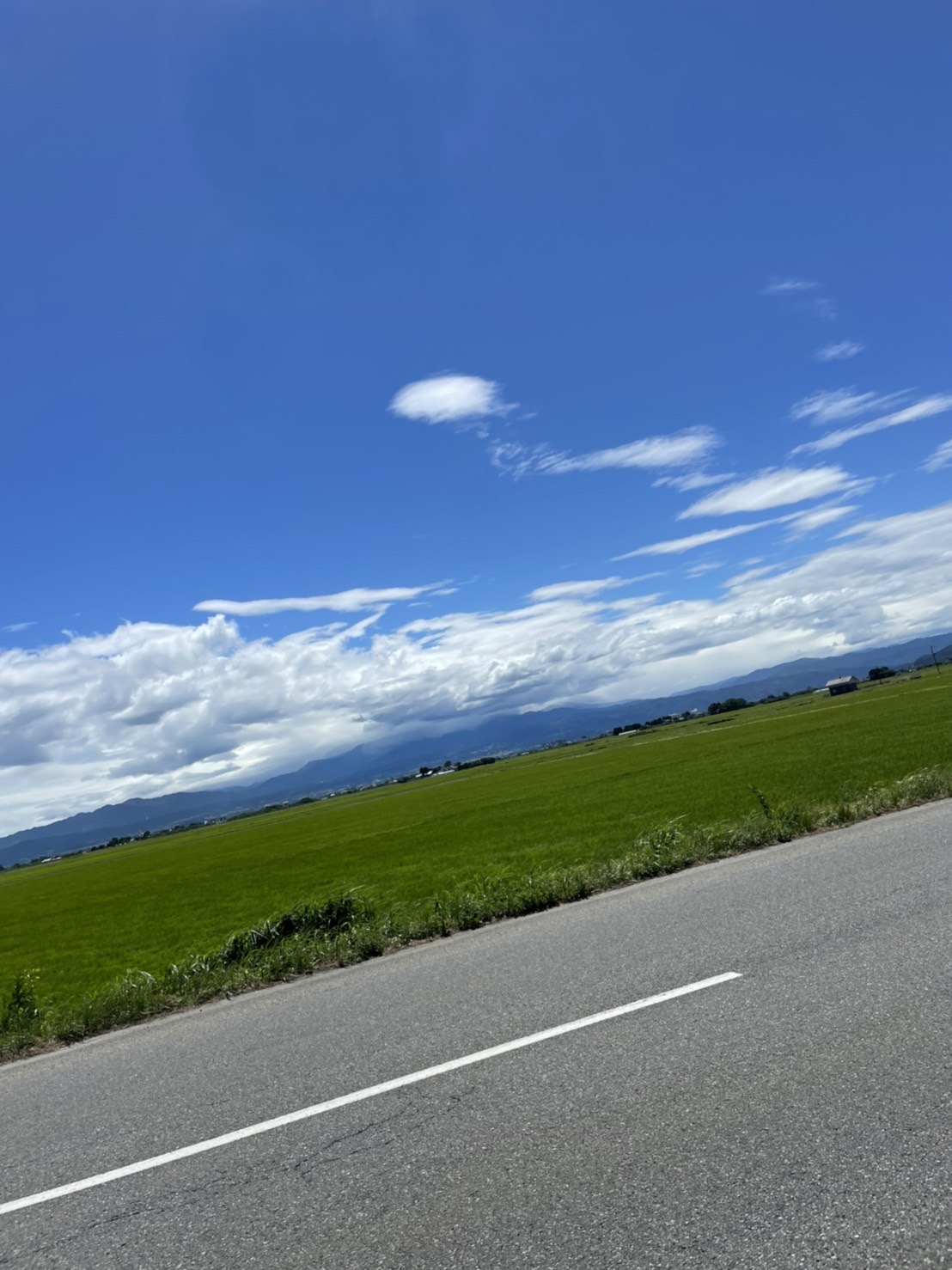 鶴岡市　夏の雲