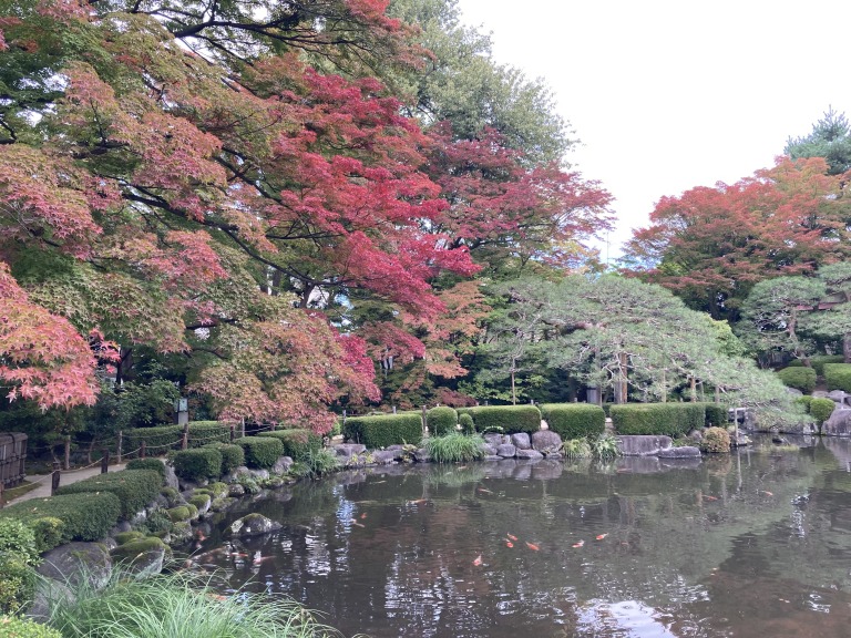 もみじ公園（宝幢寺）の紅葉