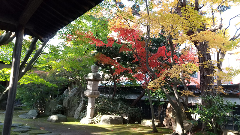 鶴岡市　丙申堂