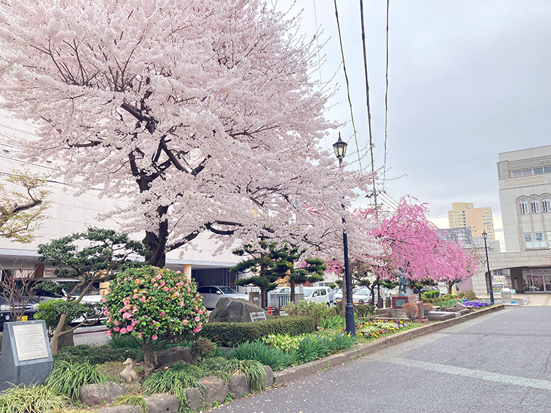 Q1（キューイチ）旧第一小学校_山形市