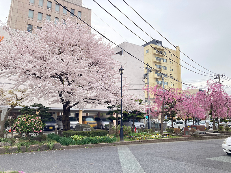 Q1（キューイチ）旧第一小学校_山形市